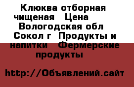 Клюква отборная, чищеная › Цена ­ 100 - Вологодская обл., Сокол г. Продукты и напитки » Фермерские продукты   